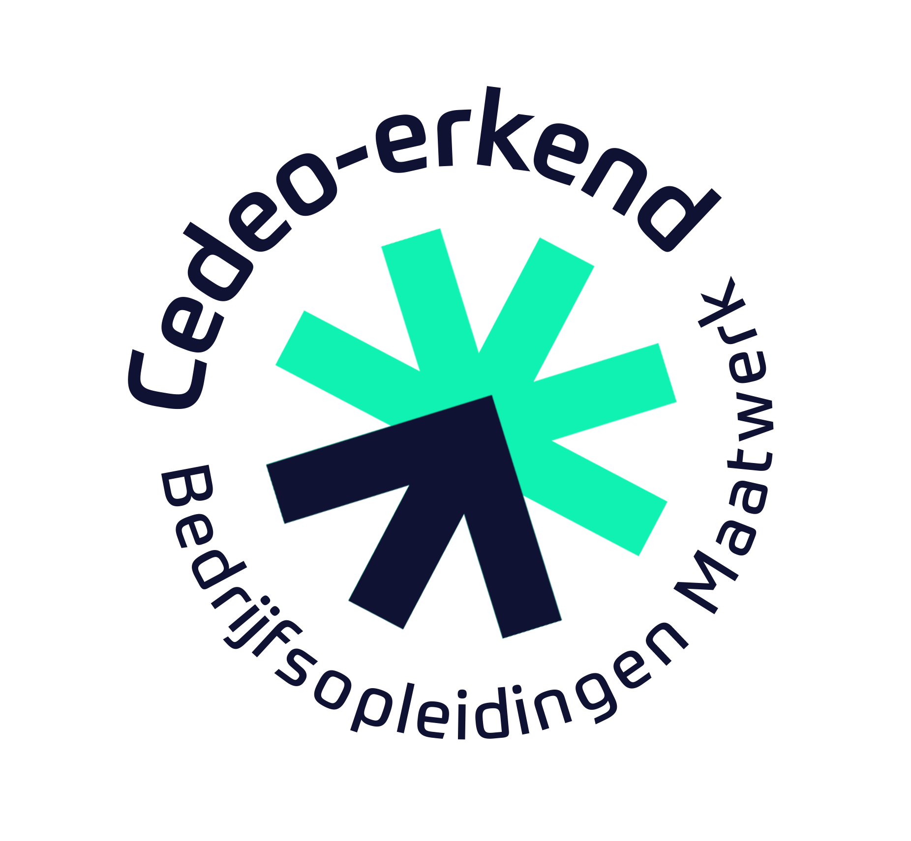 Cedeo Maatwerk opleidingen 002